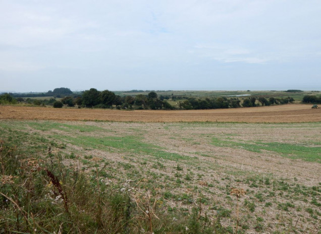 A view if THIS battlefield as it looked in the summer of 2014.