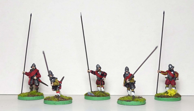 Spanish armoured pikemen