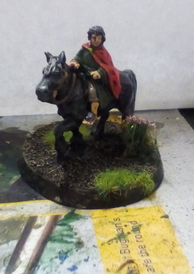 Frodo on Pony