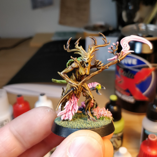 A Branchwych I picked up cheap, to test my paint scheme ideas on.  It worked out pretty well, with some minor tweaks