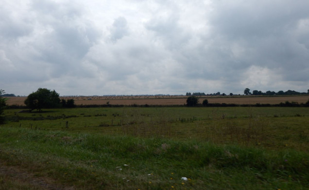 A view if THIS battlefield as it looked in the summer of 2014.  You can see the thin tree lines I was trying to recreate on the Panzer Leader mapsheet