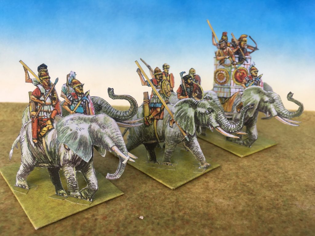 Carthaginian African Elephants - Peters Paperboys