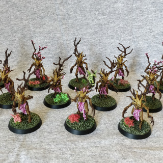 Update: First batch of Dryads, and a conversion