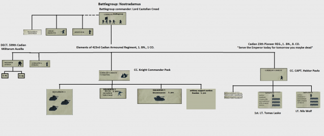 organization of the battle group