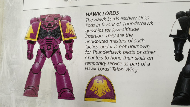 Savanna Opted for the Hawk Lords, I think the purple colour scheme really jumped out at her.