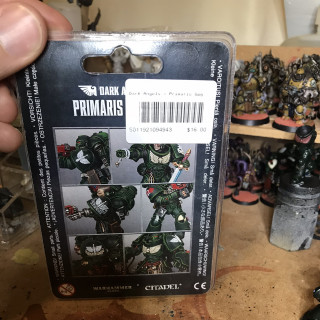 11 Aug 2019: Intercessor Squad 2, Mild Conversions