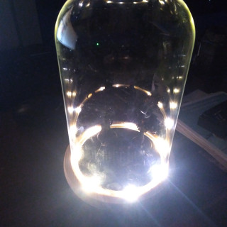 the show down - finale