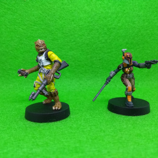 Sabine Wren and Bossk