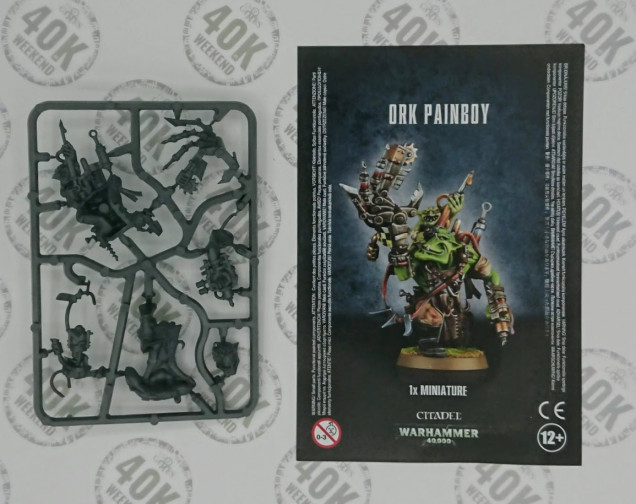 First thing out of the box : the painboy