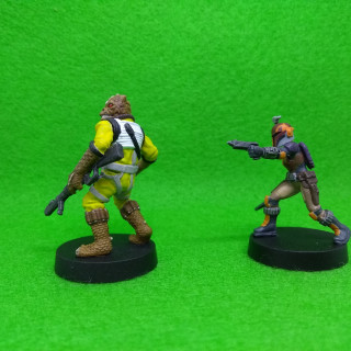 Sabine Wren and Bossk