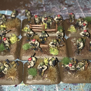 Infantry platoon complete