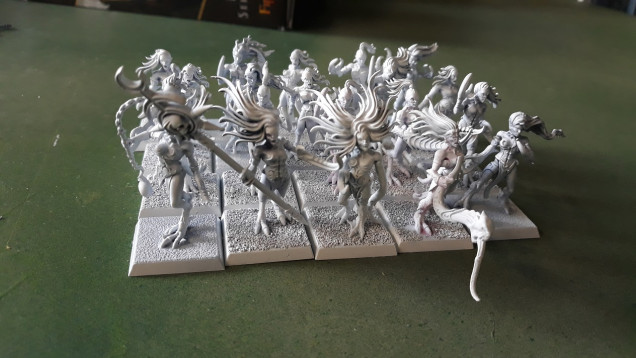 The base unit of 20 Daemonettes, some second hand EBay minis with conversions and a few adds from a sprue I had with some bits form Shieldwolf's Shieldmaidens sprues