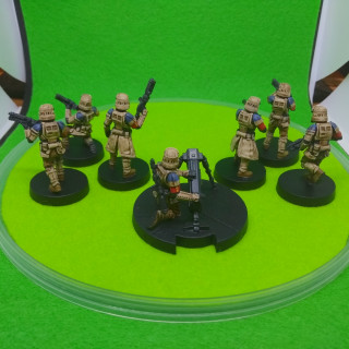 Shoretroopers