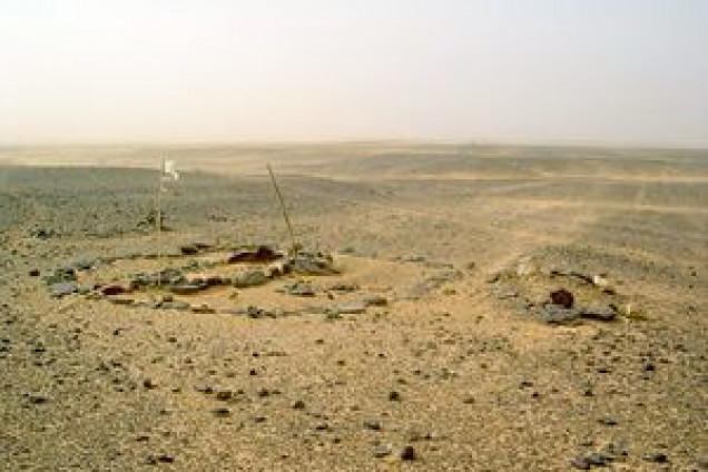 Abu Klea battlefield. Not much grass in sight but green bushes are common