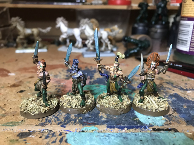 Wild Elves with Elven Metal swords, bone and obsidian daggers