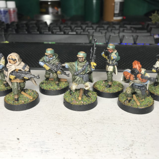 Painting Rebels & Deadly Imperial Minds