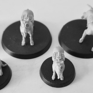 Reprinting the dogs
