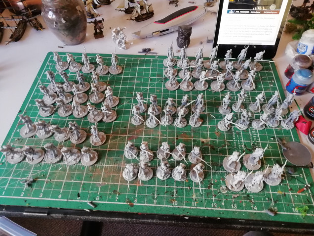 84 Minis split up into different units so lots of different colour schemes to do.