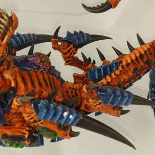 Trygon Prime