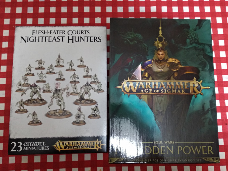 Reinforcements for my Flesheater Courts and the endless spells from Forbidden Power.