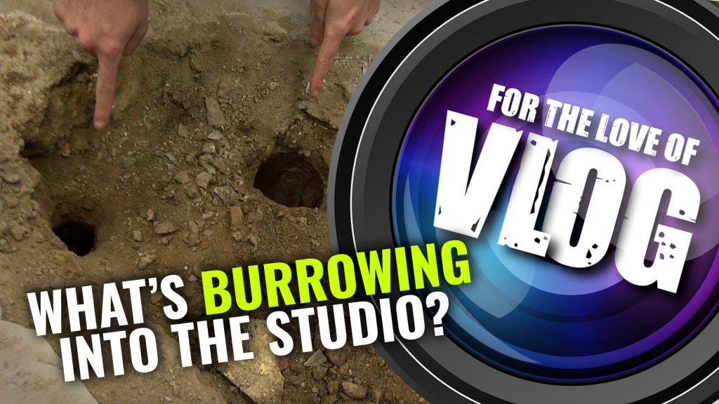 VLOG: What's Burrowing Into The Studio?