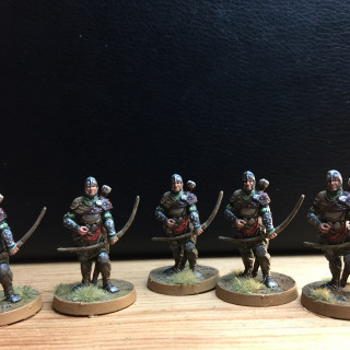 Heroes - These are the miniatures I have painted to far...
