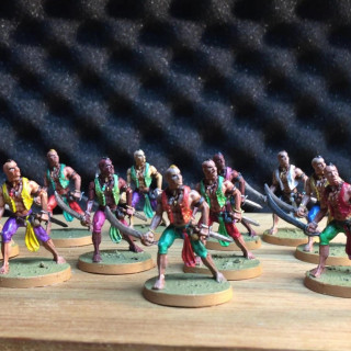 Heroes - These are the miniatures I have painted to far...
