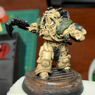 Revisiting Typhus