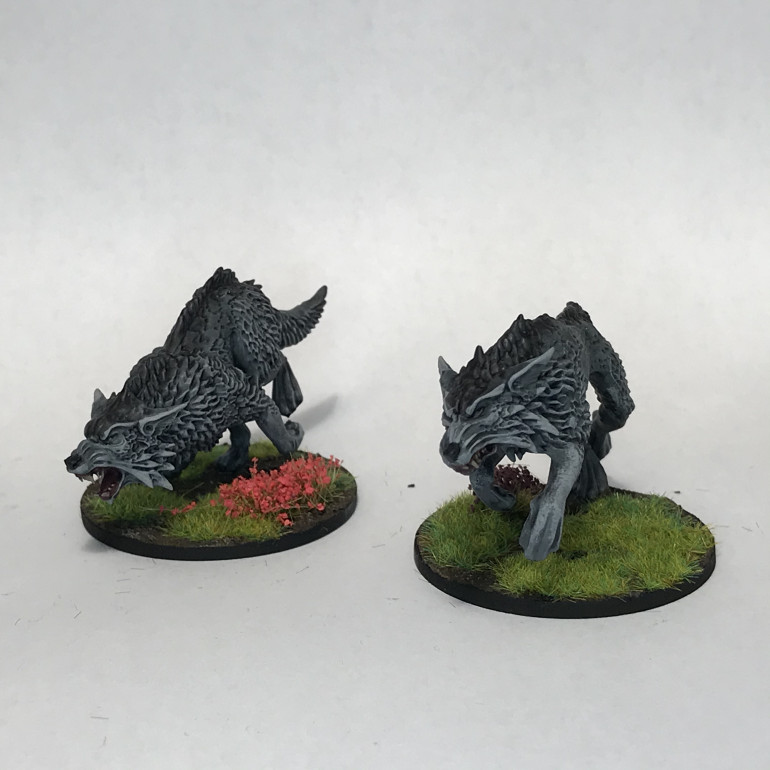 A couple of wolves for D&D or wandering monsters for Relicblade.