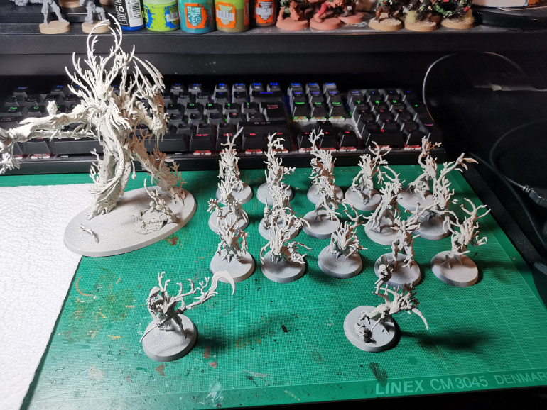 Sylvaneth Starter set fully assembled and primed - wraithbone