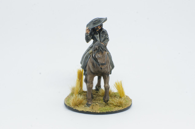 Mounted Desperado