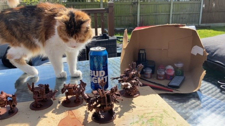 Another essential item to any project apart from cold beer is a helper Cat. Here Bay can be seen scrutinising the base coated models checking for missed areas.