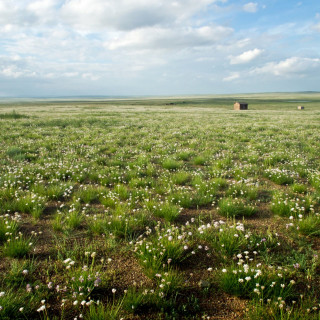 Researching Mongolian Landscapes