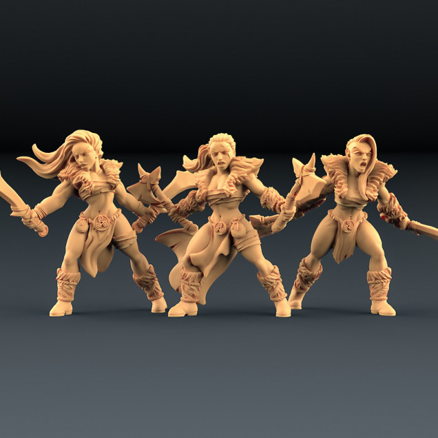 https://www.myminifactory.com/object/3d-print-barbarian-blademasters-3-units-amazons-kickstarter-112895