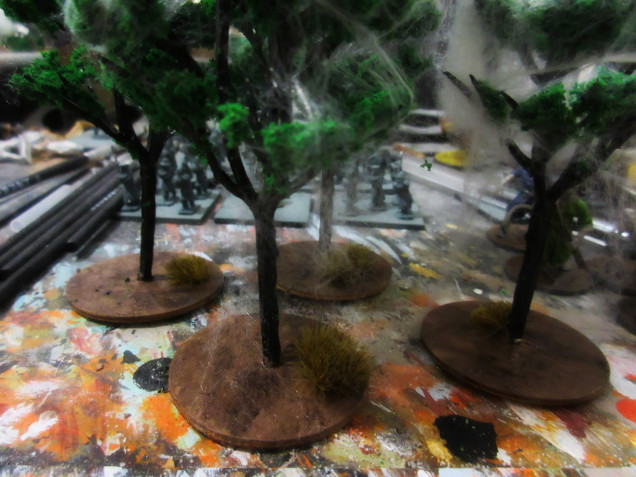 Some tree riffic scenery