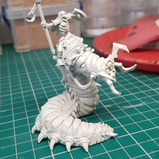 Undead Worm Rider!