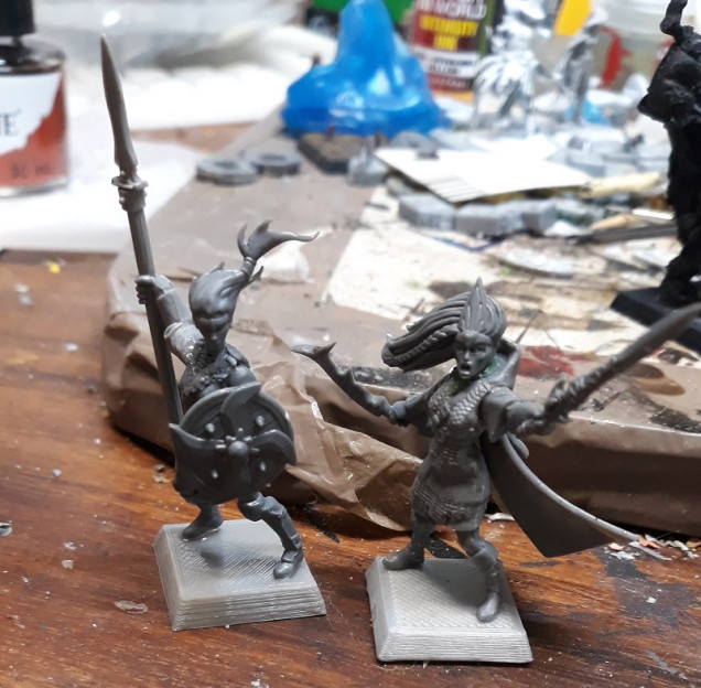 And in Kitbash Corner today, Evilstu combines GW High Elf pieces with Shieldwolf Shieldmaiden torsos to see if he can get away with using these to do an Everqueen themed High Elf Force. Because reasons, clearly...