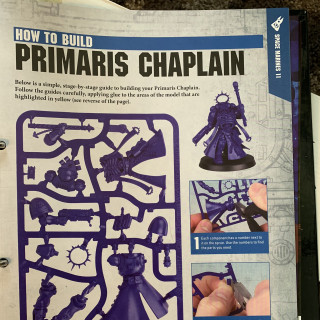 Day Four - Primaris Chaplain, Captain and Scouts