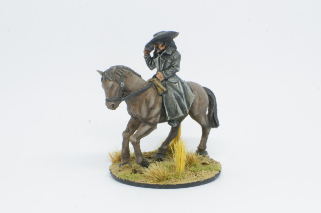 Mounted Desperado