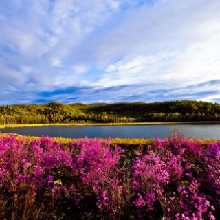 Researching Mongolian Landscapes