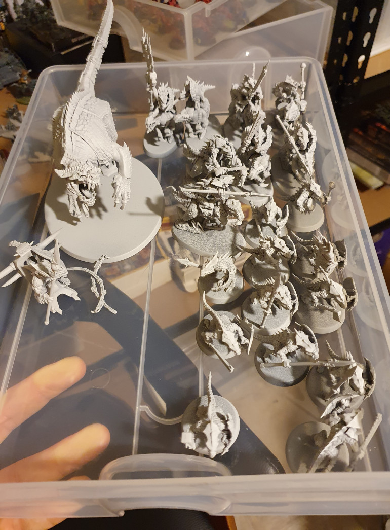 Seeing as my initial army box is nearly finished I also got around to assembling the Start Collecting Seraphon box I'd bought myself and got it all primed in Grey Seer