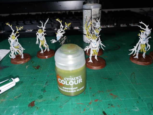 The first contrast to use is Plaguebearer Flesh, this is for all the greenery, so leaves, the skirt and vines; apply a good solid layer. Do not worry about getting this on the braches it will add character and can be tidied up later.