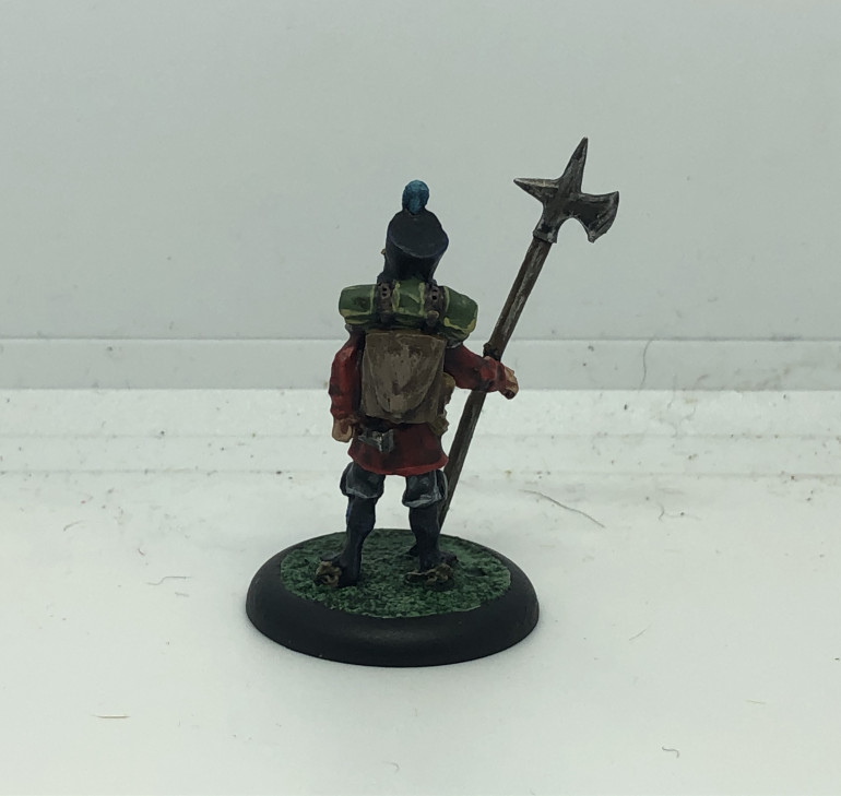 Completed Captain Flynt's Albionnicans