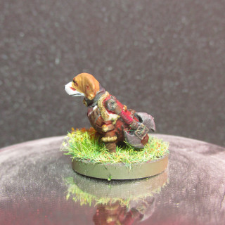 Svetlana, the Beagle Barbarian