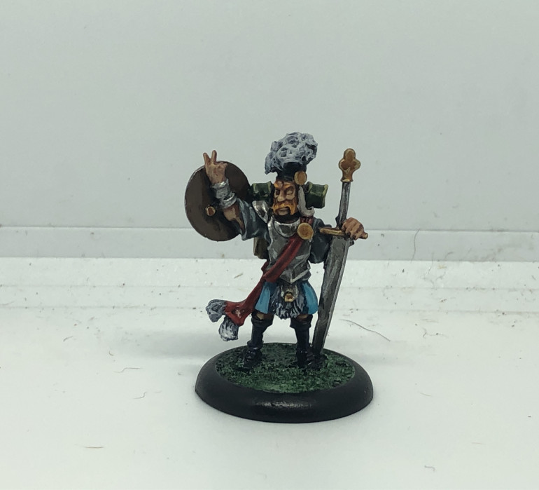 Completed Captain Flynt's Albionnicans