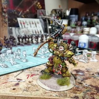 Typhus