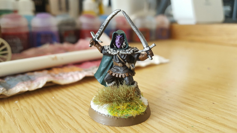 Finished Drizzt!