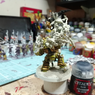 Typhus paint