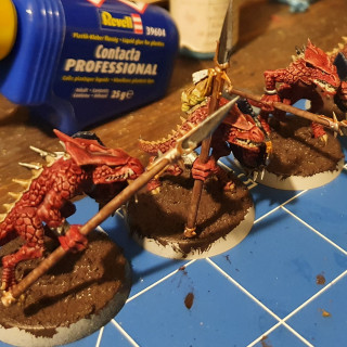 Finished Saurus Warriors