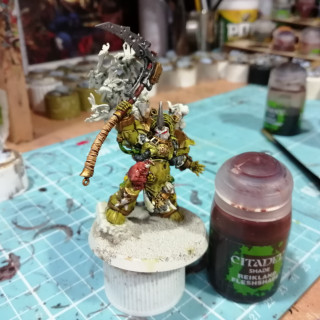 Typhus painting part4